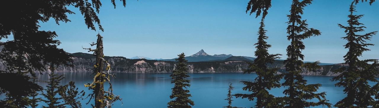 Oregon reintroduce su sistema de créditos de carbono